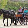 IMG_5207