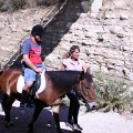 IMG_1698