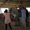 IMG_1702