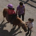 IMG_1711