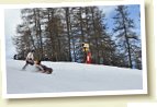 IMG_1990
